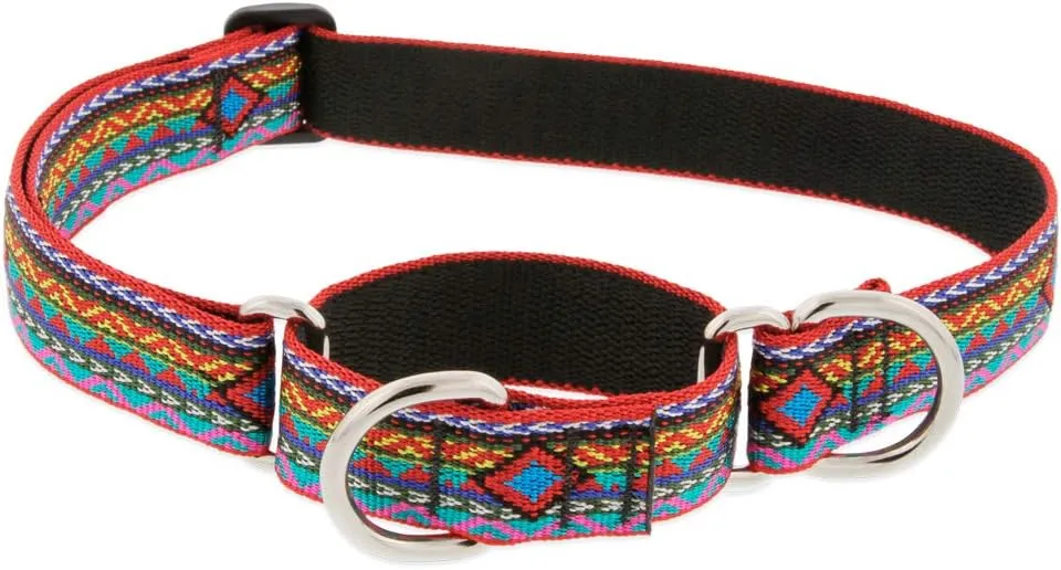 1in El Paso 15-22 Martingale